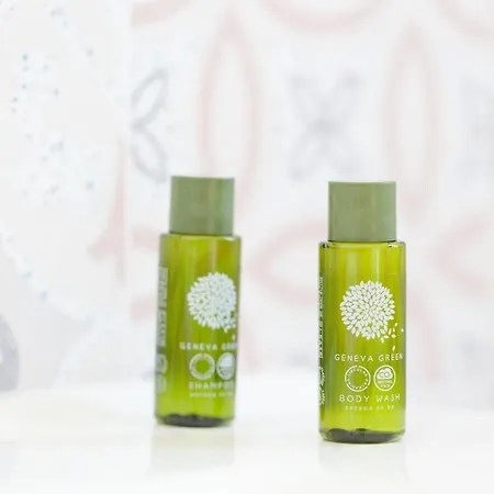 B&B La Dama 산비토로카포